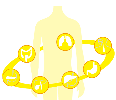 Hospital-based Cancer Registry Analysis System Prometheus Pro